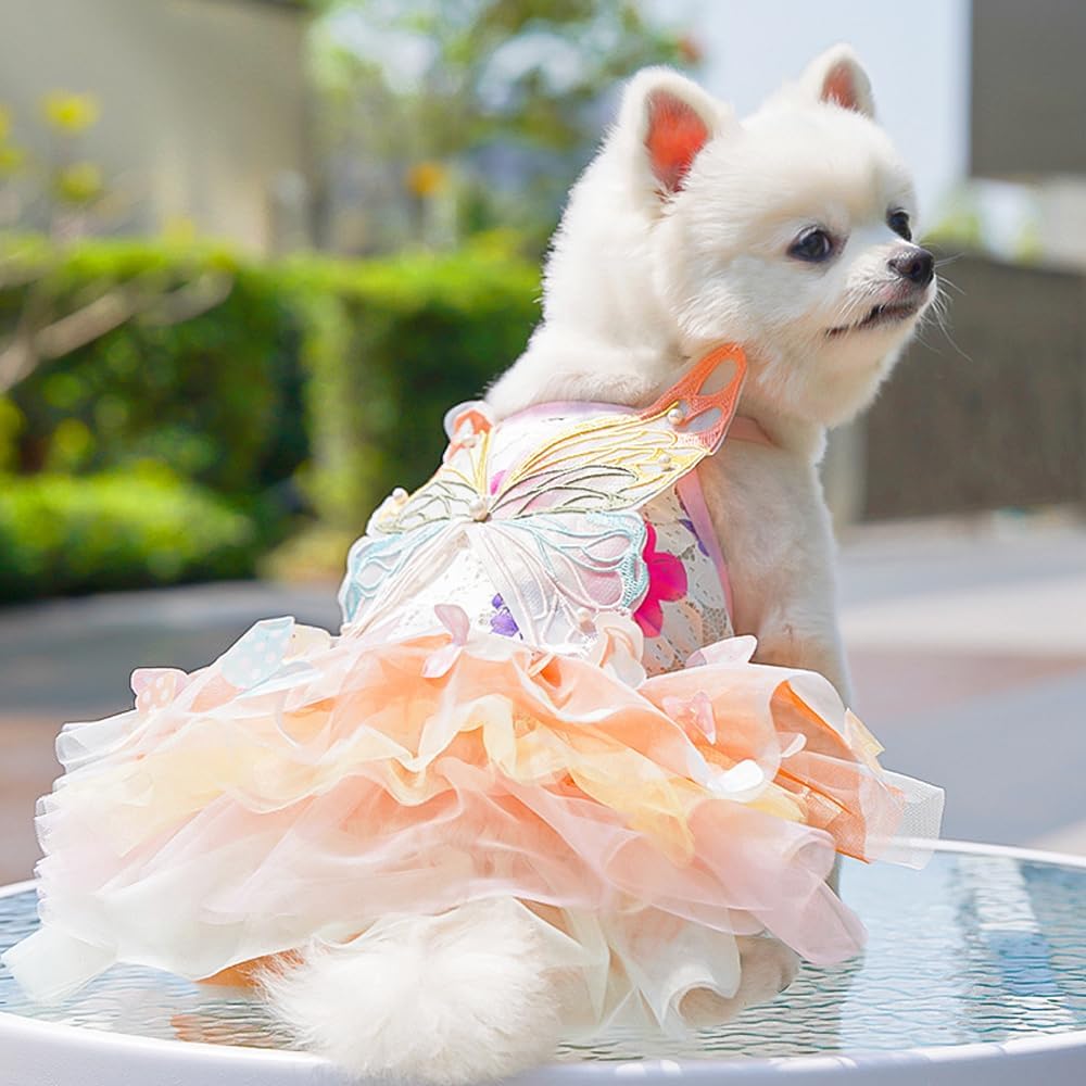 Dog Princess Dress,Summer Thin Cat Rainbow Butterfly Pettiskirt Cute Pet Clothes Chihuahua Teddy Dress Pet Supplies (S) - Image 2