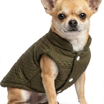 Soft Warm Small Dog Coats Lightweight Pet Dog Winter Jackets for Small Medium Dogs Puppy Cold Weather Coat Pet Clothes, Green, Small