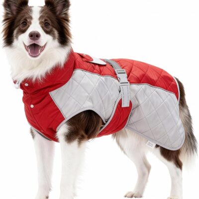 Dog Coat Dogs Jacket Waterproof Reflective Adjustable Dog-Winter Coats for Small/Medium/Large Dogs Dachshund Coat-(Red, Medium)