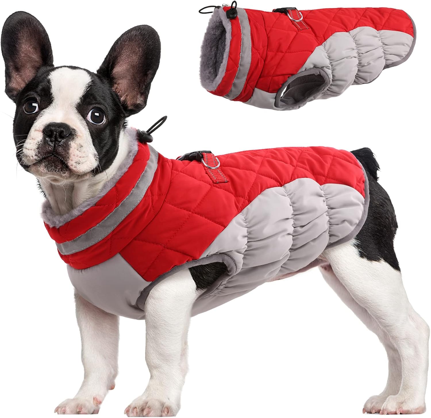 Dog Coat for Small Dogs,Waterproof Dog Winter Jacket with Harness Built in Puppy Cold Weather Coats Reflective Pet Vest with Zipper Warm Fleece Dogs Snowsuit Windproof Red S